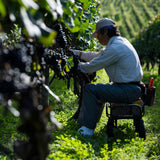 北海道ワイン 葡萄作りの匠 北島秀樹【ケルナー 甘口 2020】750ml