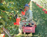 グランポレール【余市ケルナー 2023】750ml