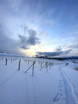 YOICHI SNOW HIKE + Maker’s Dinner by Domaine Takahiko