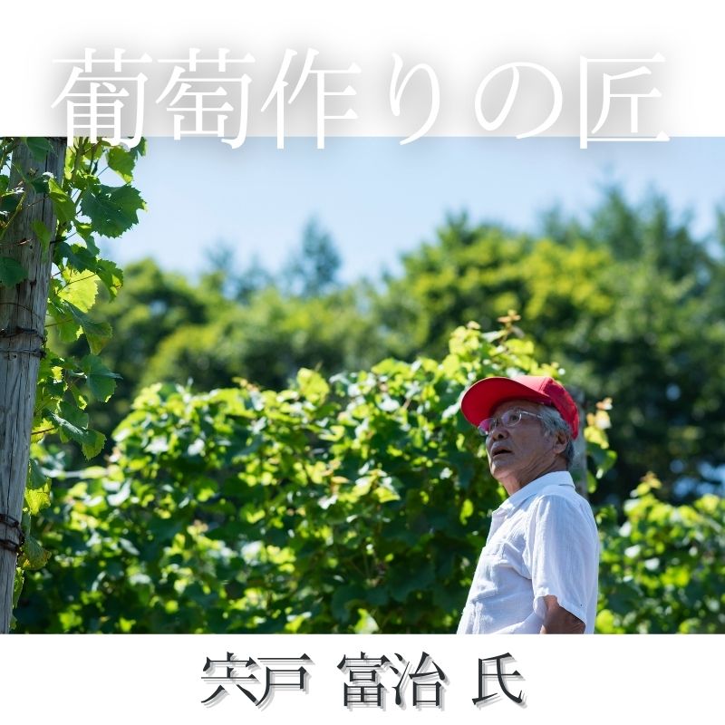 北海道ワイン 葡萄作りの匠 宍戸富二【ツヴァイゲルト 2022】750ml
