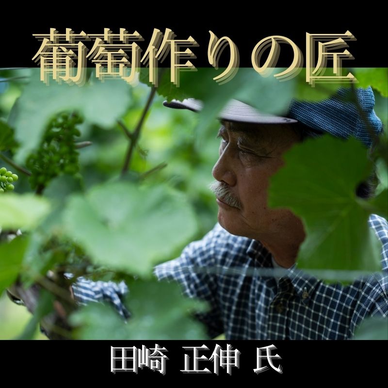 北海道ワイン 葡萄作りの匠 田崎正伸【ミュラートゥルガウ 2021】750ml