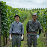 北海道ワイン 葡萄作りの匠 北島秀樹&田崎正伸【ミュラートゥルガウ飲み比べセット】ギフト用BOX入り