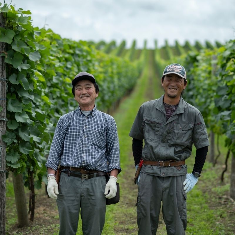 北海道ワイン 葡萄作りの匠 北島秀樹&田崎正伸【ミュラートゥルガウ飲み比べセット】