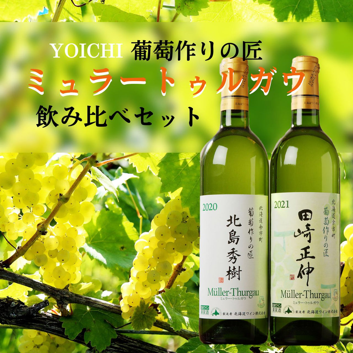 北海道ワイン 葡萄作りの匠 北島秀樹&田崎正伸【ミュラートゥルガウ飲み比べセット】