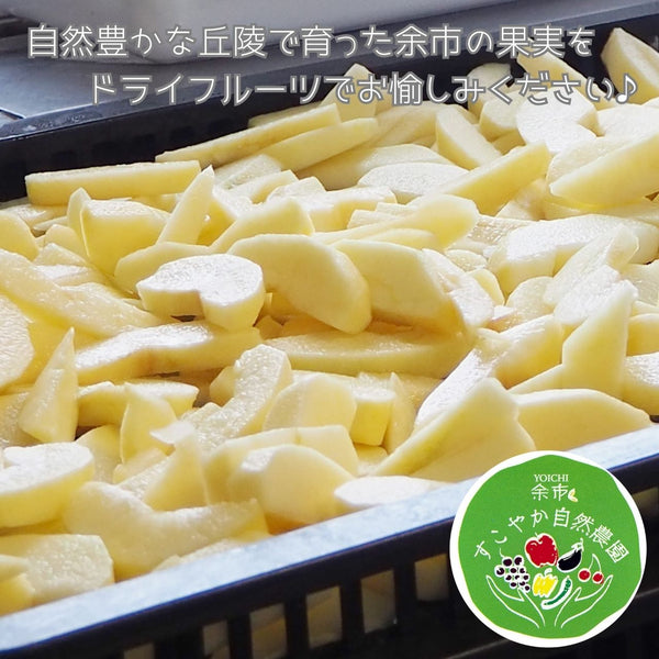 すこやか自然農園 ドライフルーツ梨【バートレット】20g